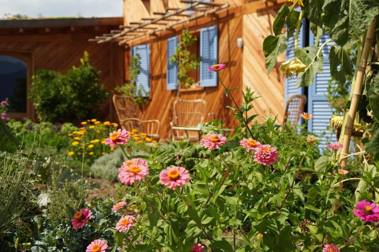 Casa Viva Bed & Breakfast Marciaga Dış mekan fotoğraf